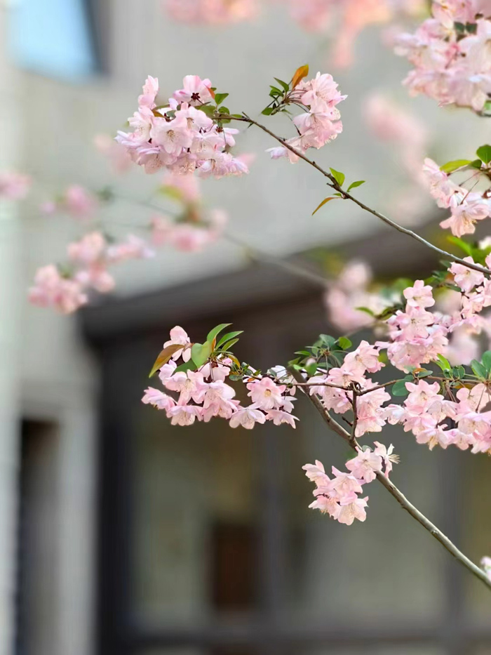 ϣwilliamhill(й)-ٷվ