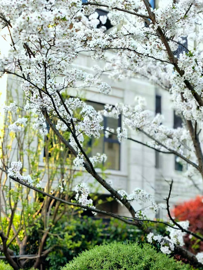 ϣwilliamhill(й)-ٷվ