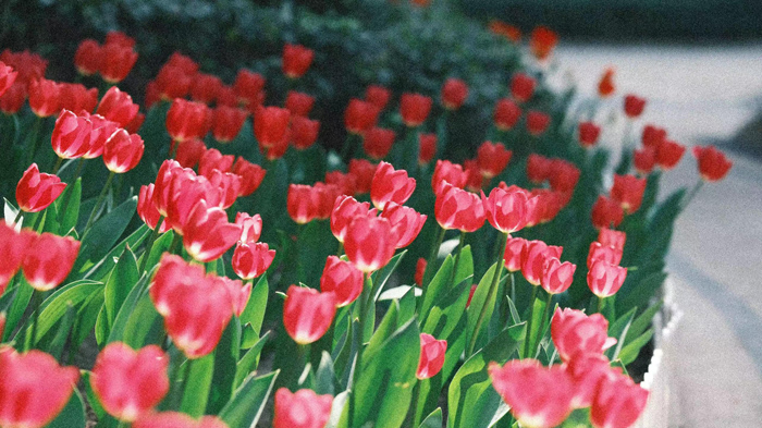 ϣwilliamhill(й)-ٷվ