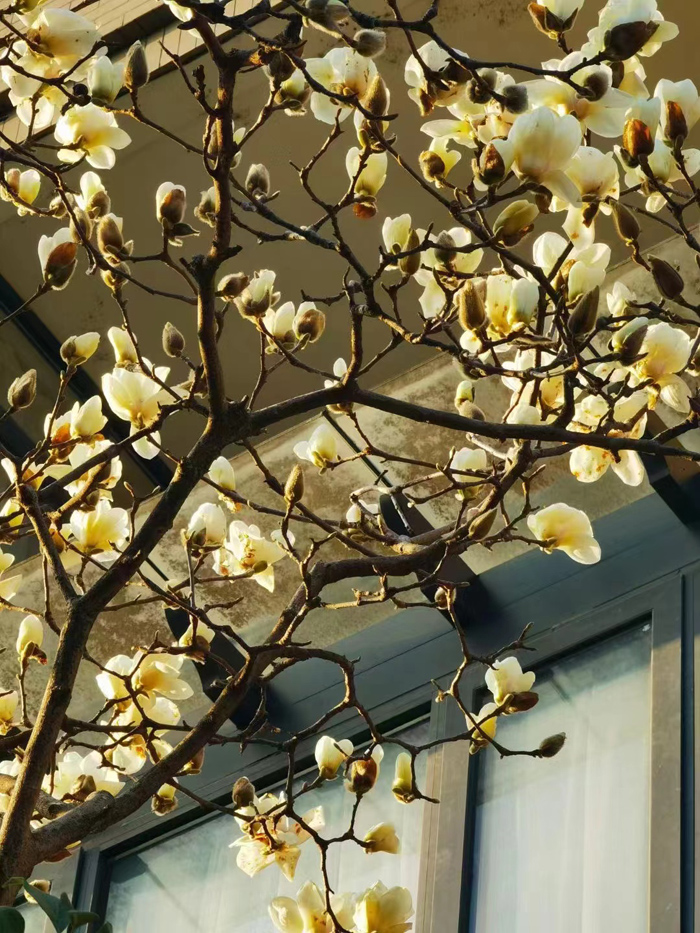 ϣwilliamhill(й)-ٷվ