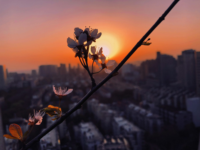 ϣwilliamhill(й)-ٷվ