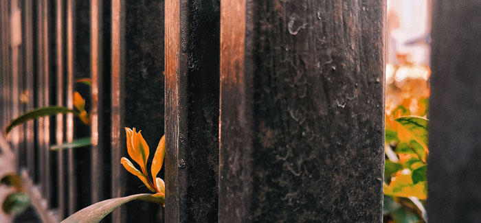 ϣwilliamhill(й)-ٷվ