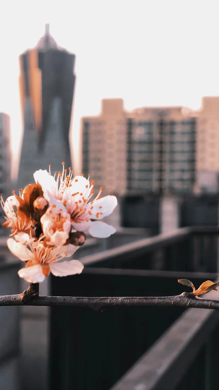 ϣwilliamhill(й)-ٷվ