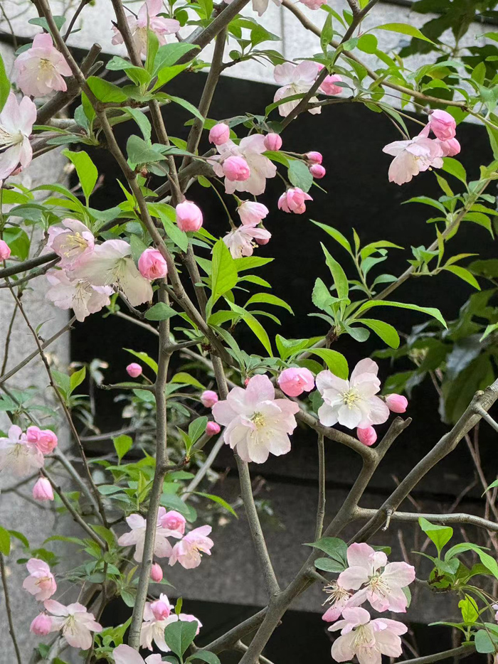 ϣwilliamhill(й)-ٷվ