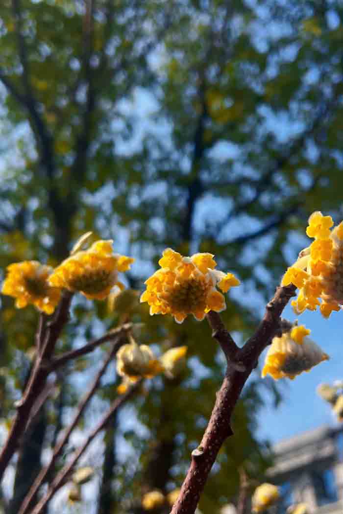 ϣwilliamhill(й)-ٷվ