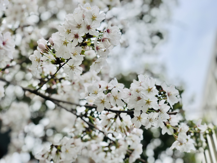 ϣwilliamhill(й)-ٷվ