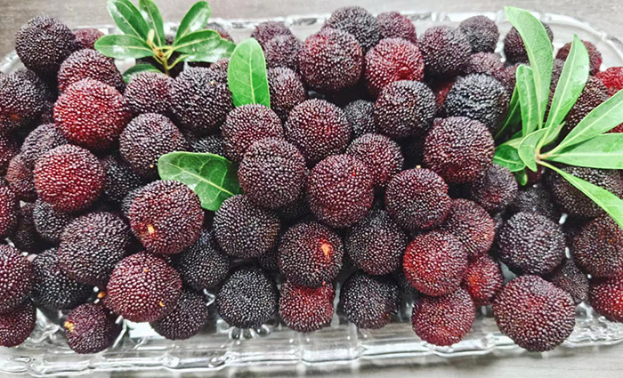 ϣwilliamhill(й)-ٷվ