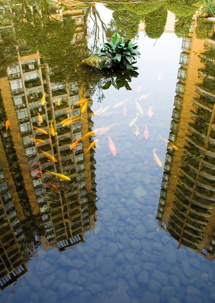 ϣwilliamhill(й)-ٷվ