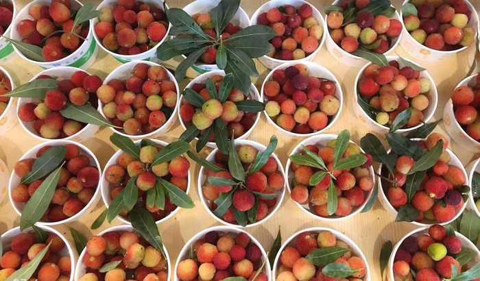 ϣwilliamhill(й)-ٷվ