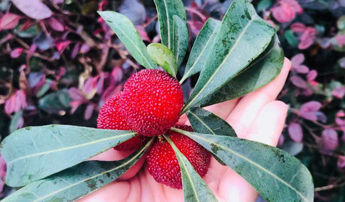 ϣwilliamhill(й)-ٷվ