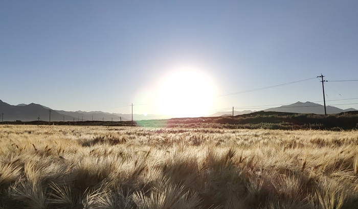 ϣwilliamhill(й)-ٷվ