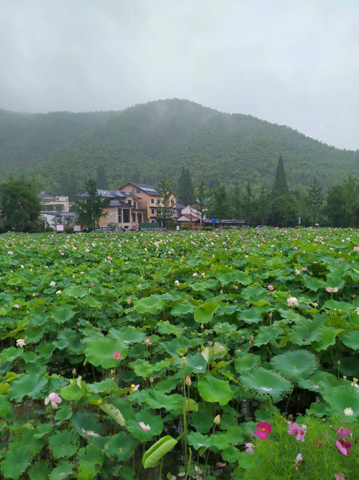 ϣwilliamhill(й)-ٷվ