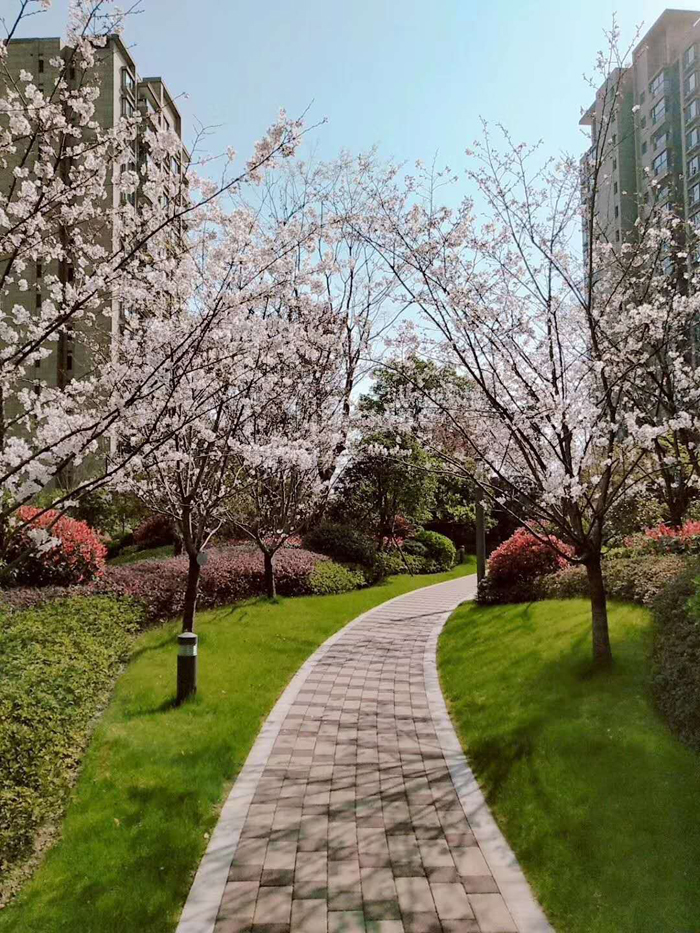 ϣwilliamhill(й)-ٷվ