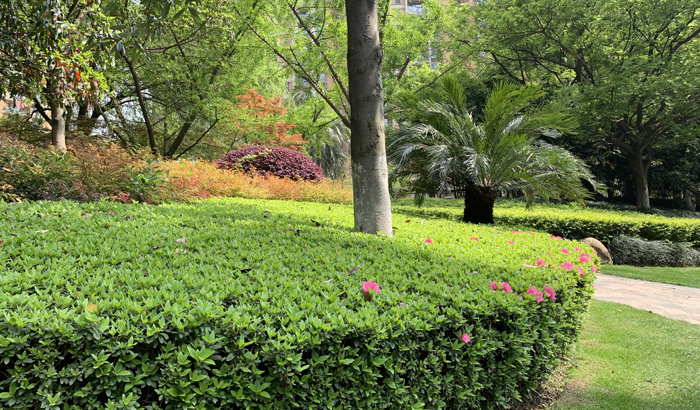 ϣwilliamhill(й)-ٷվ