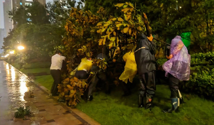 ϣwilliamhill(й)-ٷվ