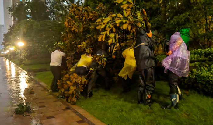 ϣwilliamhill(й)-ٷվ