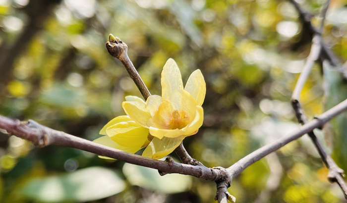 ϣwilliamhill(й)-ٷվ