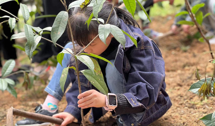 ϣwilliamhill(й)-ٷվ