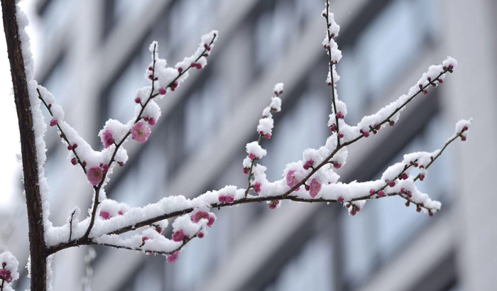 威廉希尔williamhill(中国)-官方网站