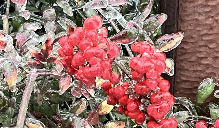 ϣwilliamhill(й)-ٷվ