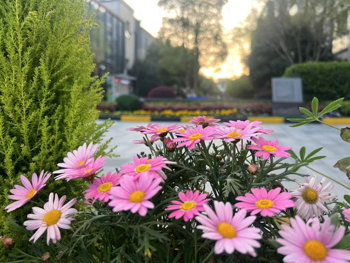 ϣwilliamhill(й)-ٷվ