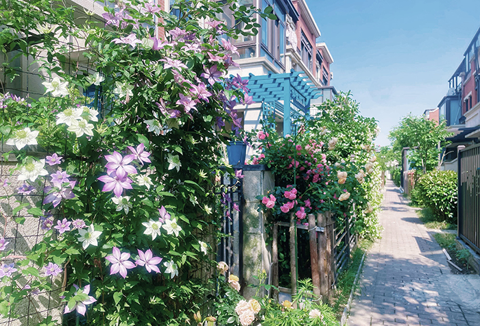 ϣwilliamhill(й)-ٷվ